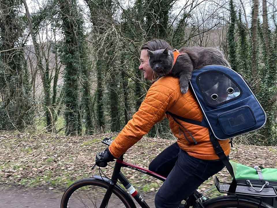 chat aventureux rejoint propriétaire balades vélo s'assied épaules