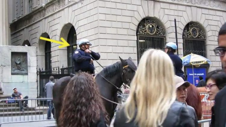 chiot s'approche énorme cheval police le supplie jouer lui