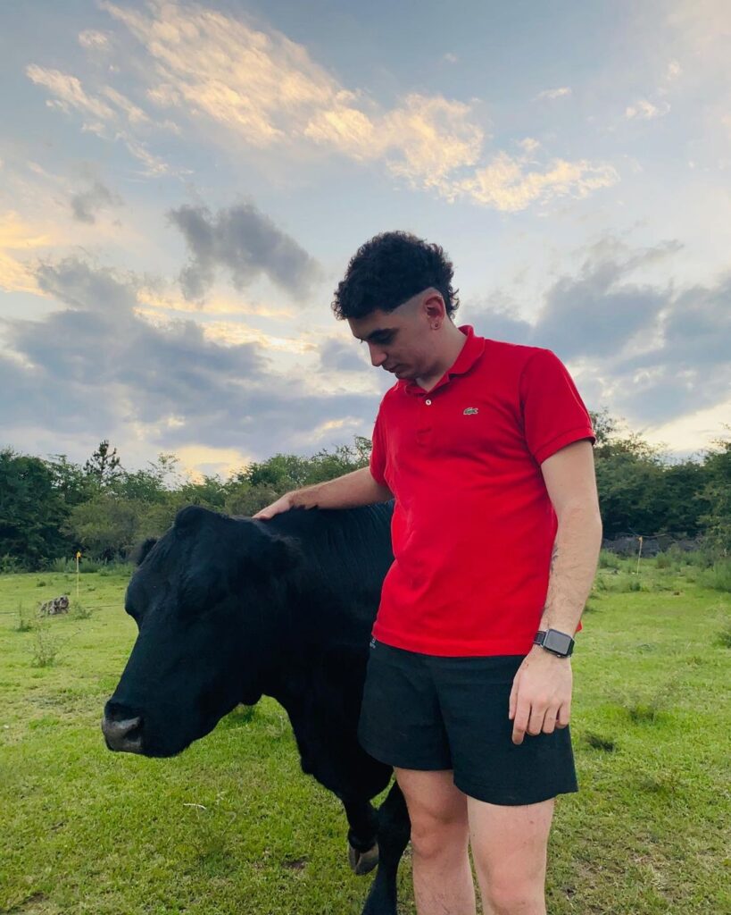 vache sauvée heureuse agit comme chien