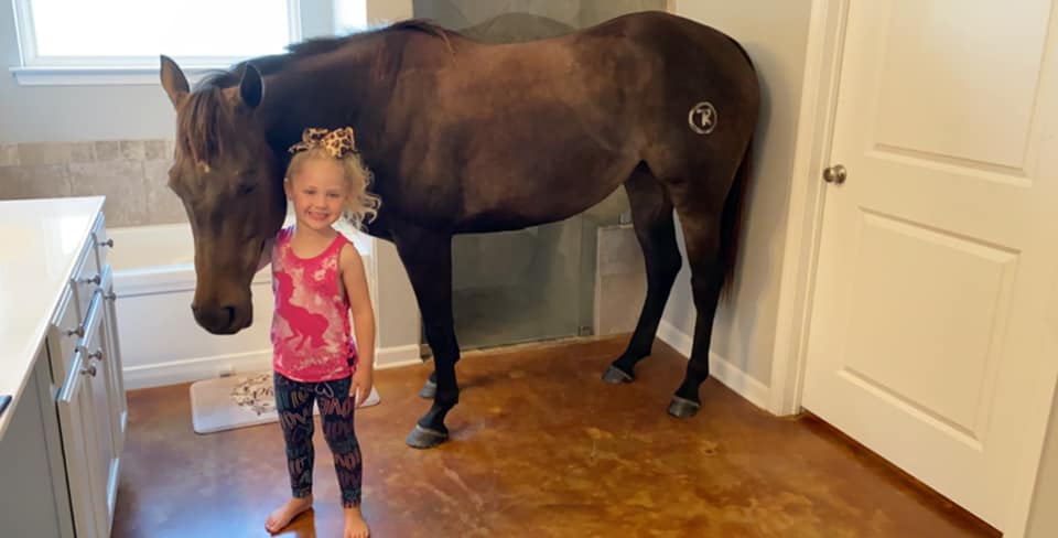 fille aime chevaux cache chambre