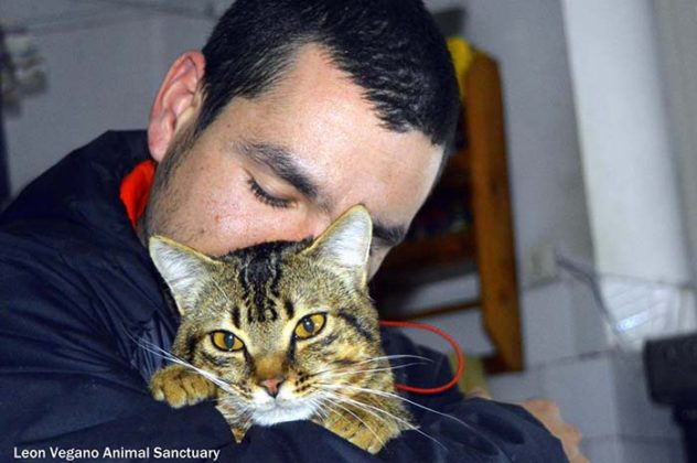 chat-malade-aime-etre-infirmiere-animaux