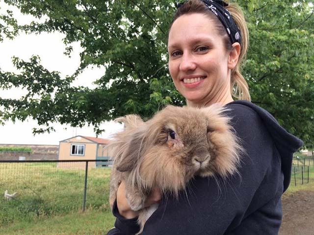 lapin-deprime-retourne-refuge