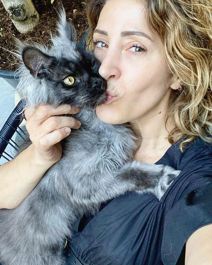 maine-coon-richie