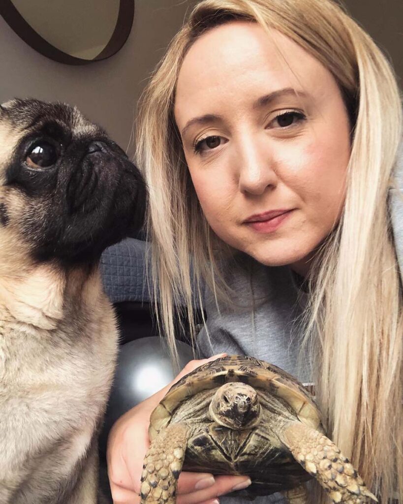 carlin-tortue-sont-meilleurs-amis-adorent-se-prelasser-soleil