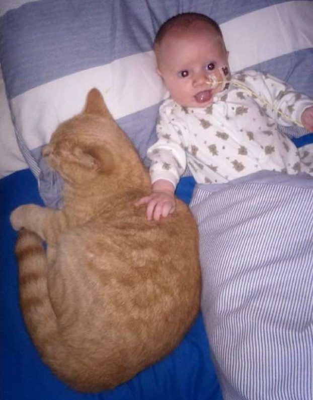 siggy-calin-chat-prend-soin-bebe-malade-coeur
