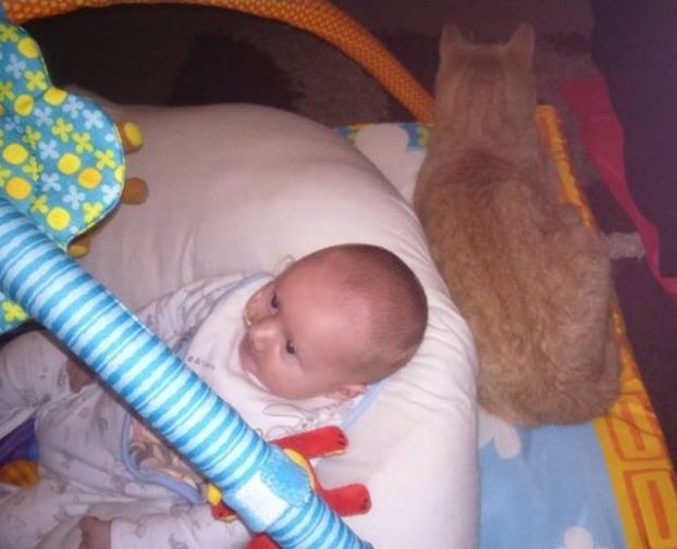 siggy-calin-chat-prend-soin-bebe-malade-coeur