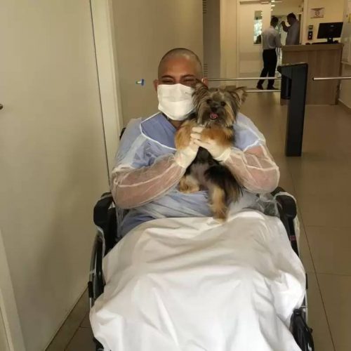 chien-ravi-rendre-visite-meilleure-amie-lhopital