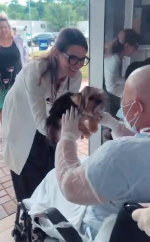 chien-ravi-rendre-visite-meilleure-amie-lhopital