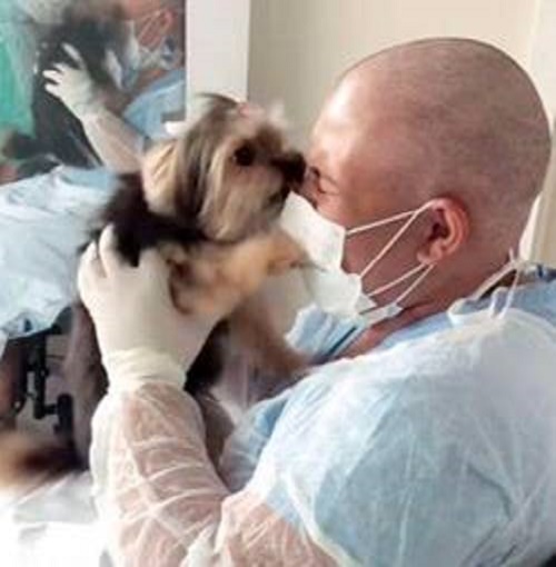 chien-ravi-rendre-visite-meilleure-amie-lhopital
