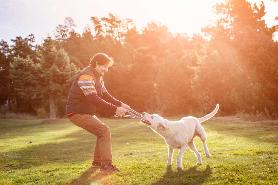 chiens capacite detecter personne mal etudes scientifiques