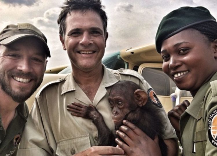 petit-chimpanze-voit-heros-etend-bras-laide
