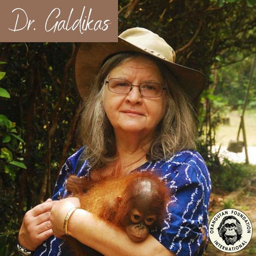 10-femmes-qui-ont-change-le-monde-pour-les-animaux