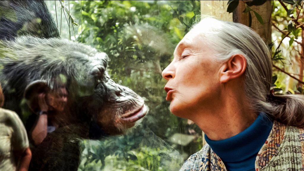 10-femmes-qui-ont-change-le-monde-pour-les-animaux