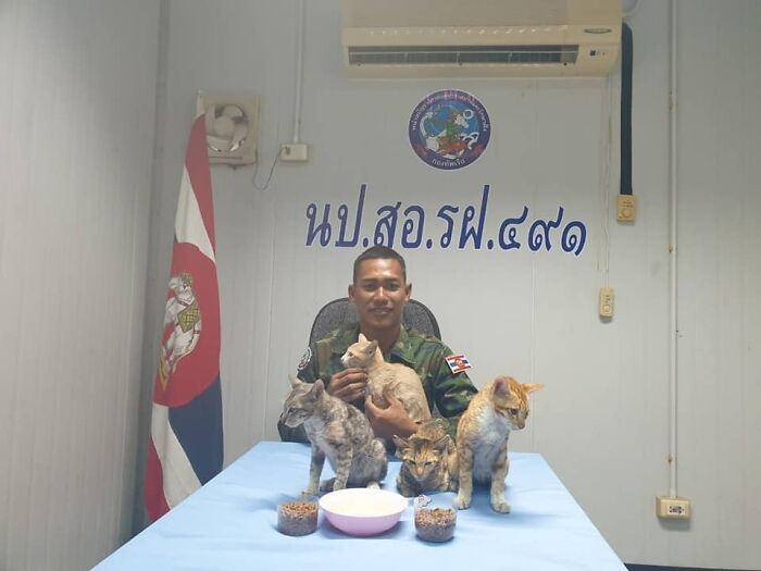 quatre-chats-sauves-navire-qui-coule-rapidement-officier-heroique-marine-thailandaise
