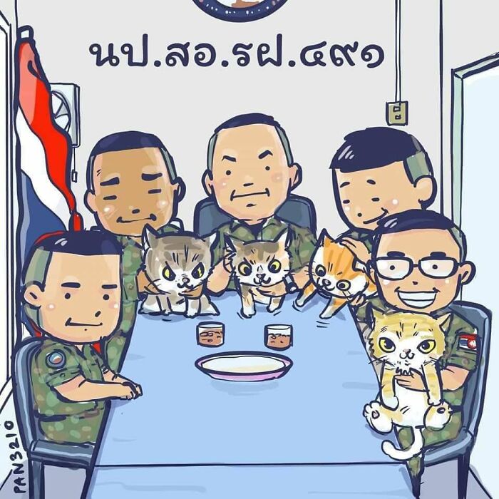 quatre-chats-sauves-navire-qui-coule-rapidement-officier-heroique-marine-thailandaise