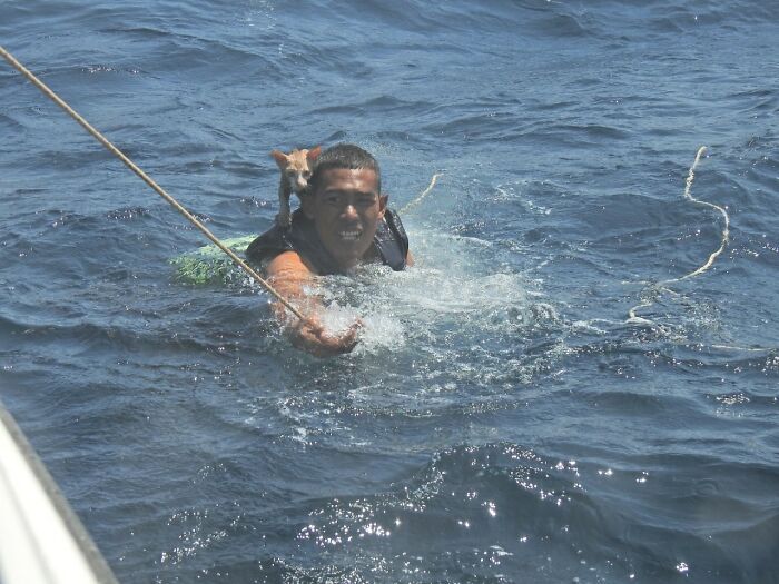 quatre-chats-sauves-navire-qui-coule-rapidement-officier-heroique-marine-thailandaise