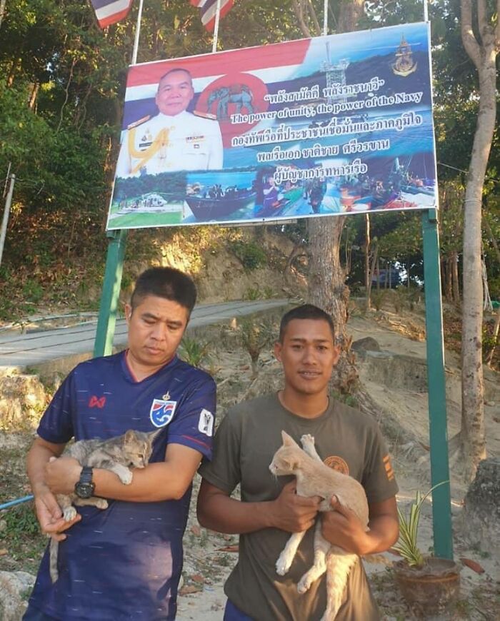 quatre-chats-sauves-navire-qui-coule-rapidement-officier-heroique-marine-thailandaise