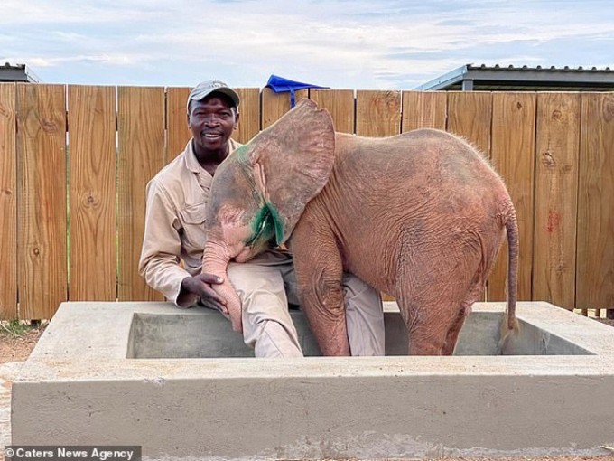 bebe-elephant-albinos-piege-jours-heureux-detre-securite