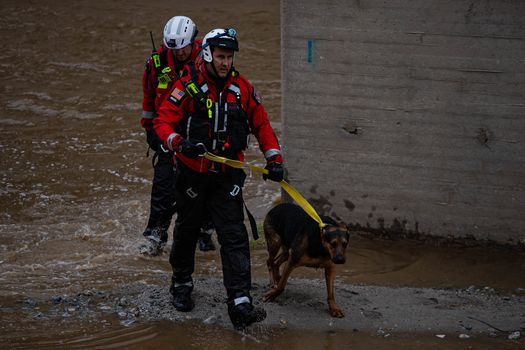 chien-emporte-fort-courant-riviere-enfin-securite-apres-sauvetage-dramatique-2-heures