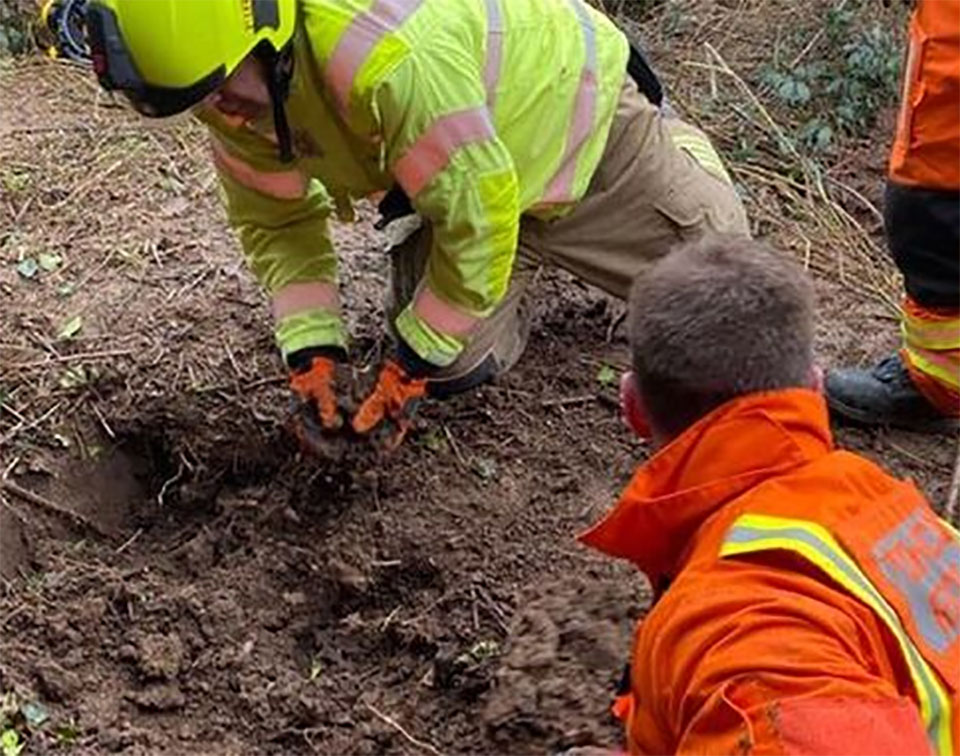 chien-piege-sous-terre-pendant-60-heures-veut-se-frotter-ventre
