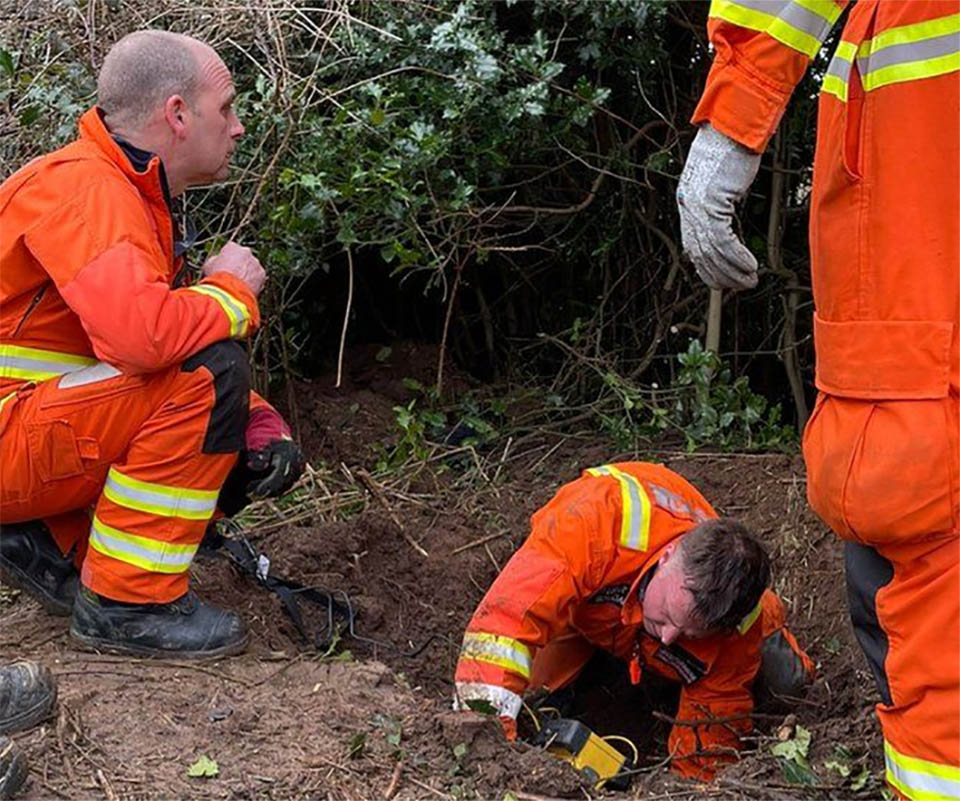 chien-piege-sous-terre-pendant-60-heures-veut-se-frotter-ventre