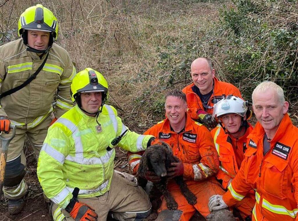 chien-piege-sous-terre-pendant-60-heures-veut-se-frotter-ventre