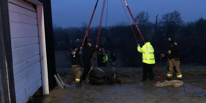pompiers-kentucky-precipitent-sauver-cheval-hypothermique-coince