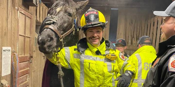 pompiers-kentucky-precipitent-sauver-cheval-hypothermique-coince