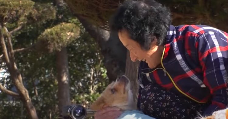 grand-mere-pleure-separee-chien-paralyse