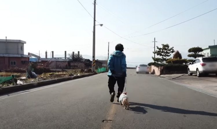 grand-mere-pleure-separee-chien-paralyse