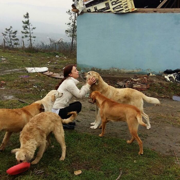 presque-tous-jours-apres-travail-femme-monte-collines-sapanca-turquie-soccuper-chiens-negliges