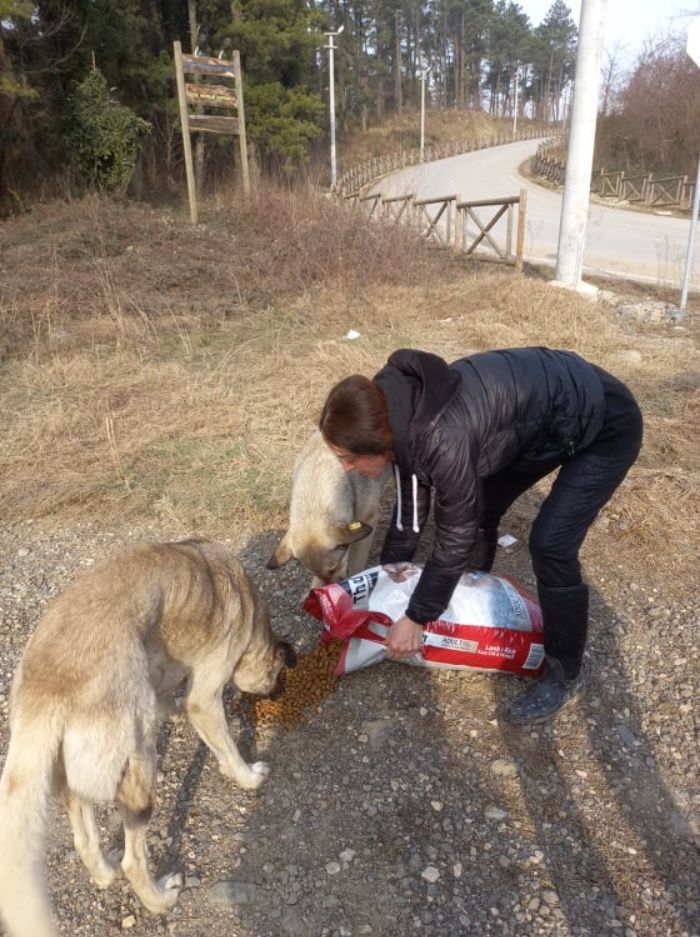 presque-tous-jours-apres-travail-femme-monte-collines-sapanca-turquie-soccuper-chiens-negliges