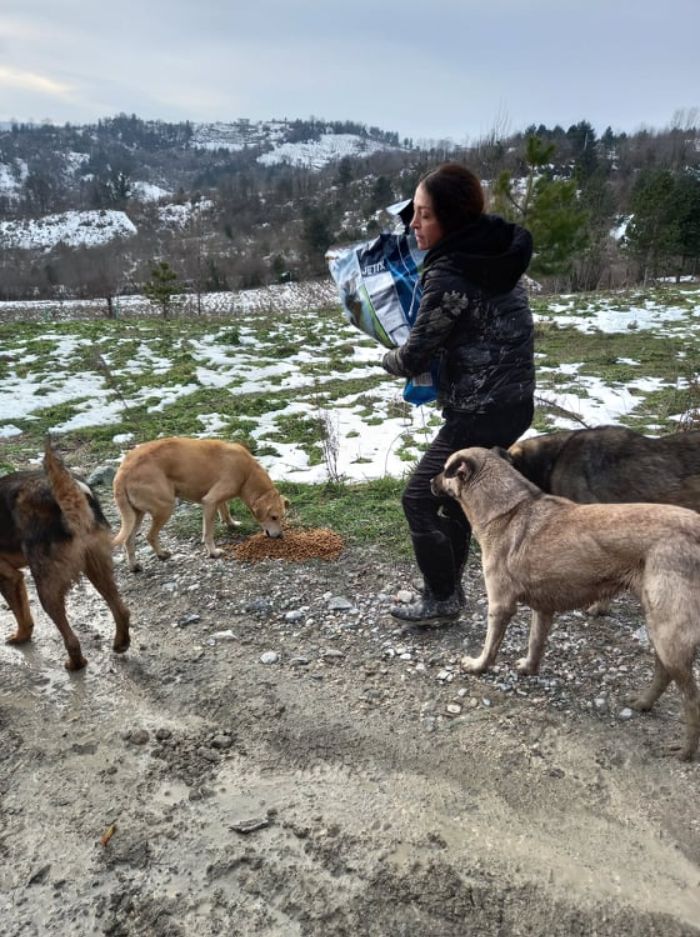 presque-tous-jours-apres-travail-femme-monte-collines-sapanca-turquie-soccuper-chiens-negliges