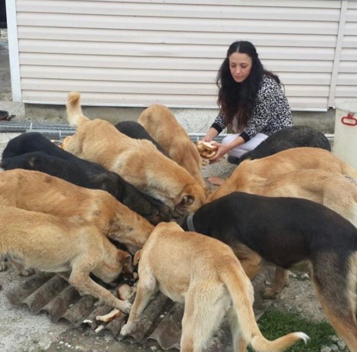 presque-tous-jours-apres-travail-femme-monte-collines-sapanca-turquie-soccuper-chiens-negliges