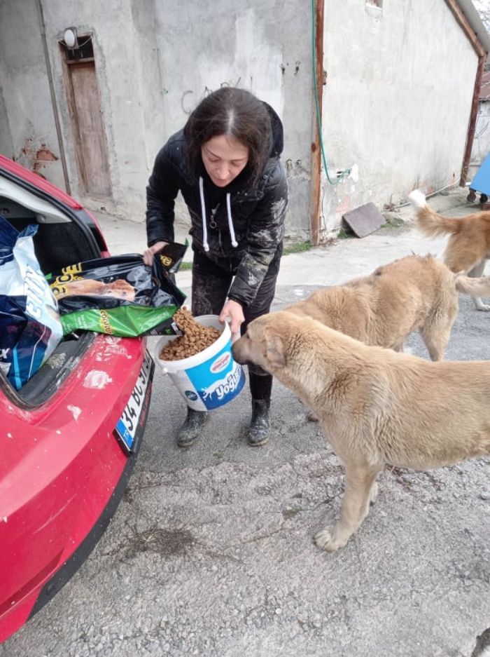 presque-tous-jours-apres-travail-femme-monte-collines-sapanca-turquie-soccuper-chiens-negliges