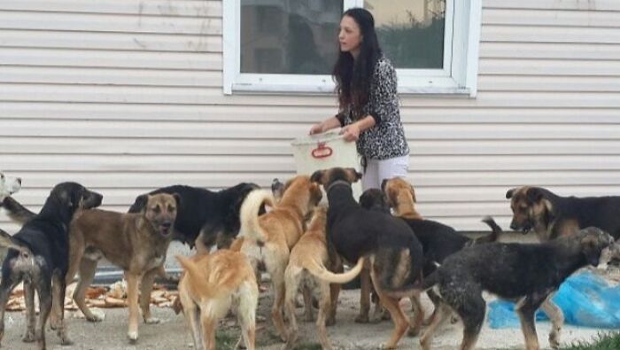 presque-tous-jours-apres-travail-femme-monte-collines-sapanca-turquie-soccuper-chiens-negliges