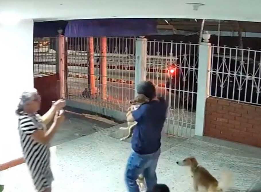 famille fête retour chiot enfui