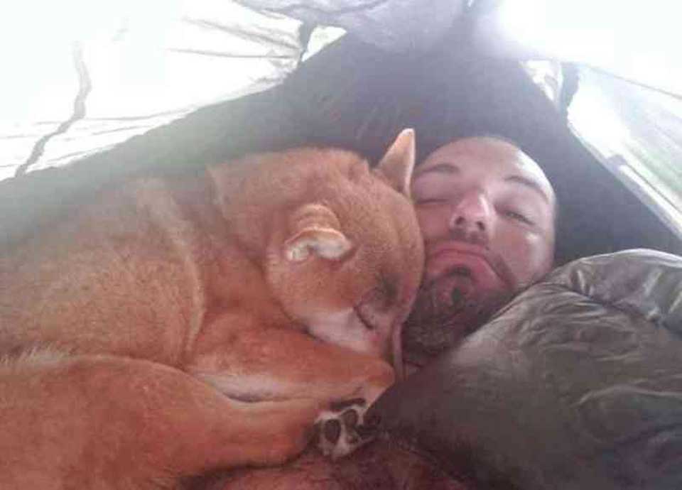 homme fait randonnee chienne aveugle aider retrouver confiance