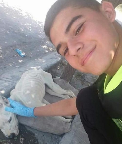 adolescent descend bus aider chien maigre personne ne voulait