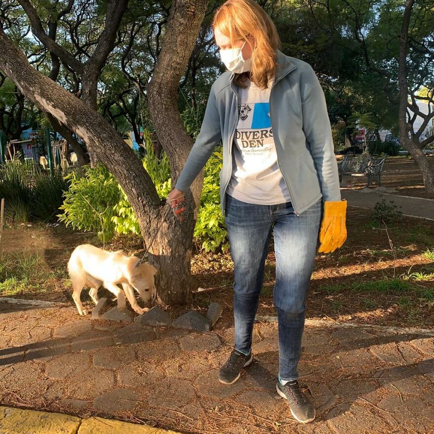 Moment tragique chien retrouvé abandonné attaché banc parc avec note déchirante enfant