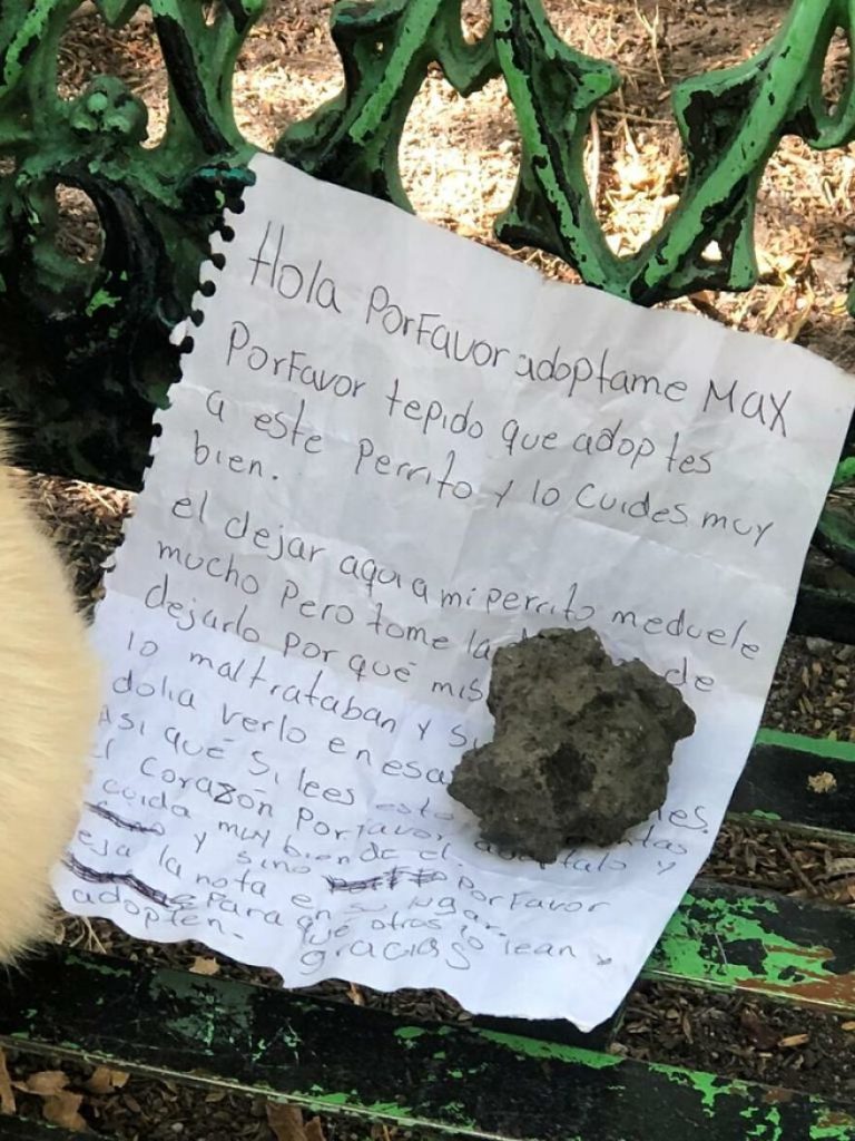 Moment tragique chien retrouvé abandonné attaché banc parc avec note déchirante enfant