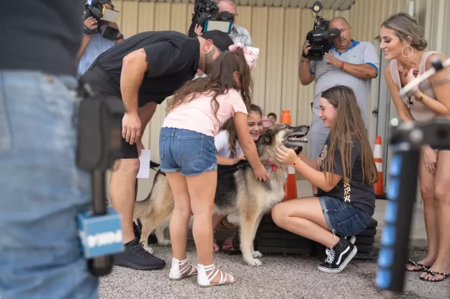 chien volé 5 ans parcourt 600 miles retrouver famille