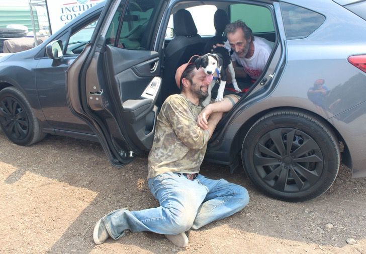 homme s'effondre après retrouvé chien perdu incendie