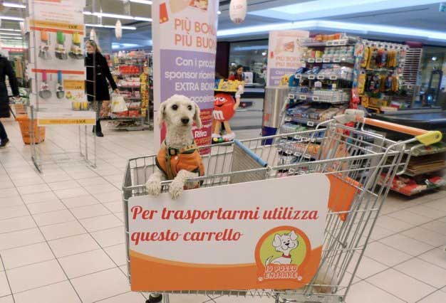 initiative supermarché présence charrettes chiots séparent pas propriétaires