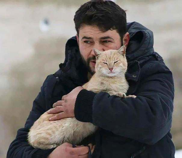 Cet homme héros nourrit 100 chats abandonnés