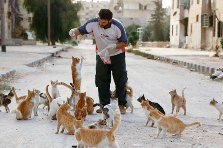 Cet homme héros nourrit 100 chats abandonnés