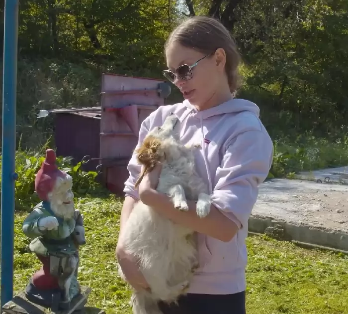 femme apprend chien sans-abri vit station-service se donne mission sauver
