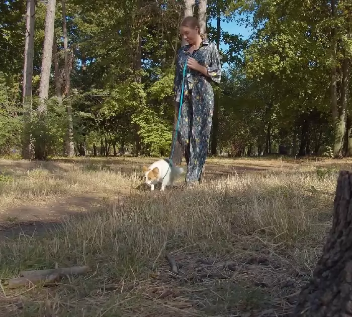 femme apprend chien sans-abri vit station-service se donne mission sauver