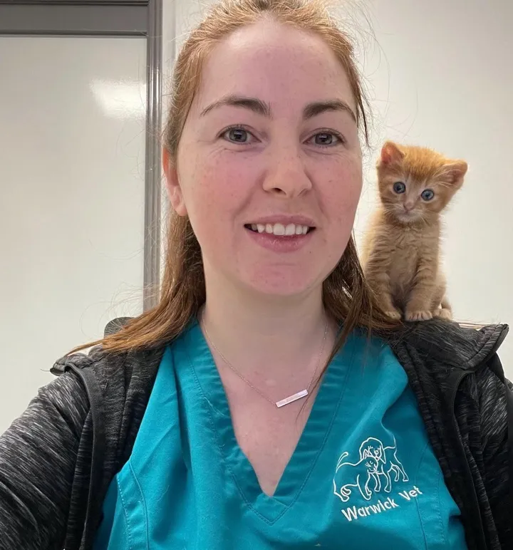 Chaton obtient équipe l'aider mieux respirer se transforme chat d'épaule heureux