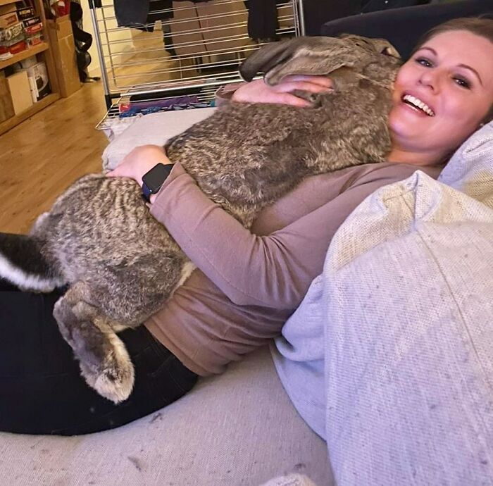 Guus lapin 10 kg attire l'attention non seulement par taille aussi personnalité chien